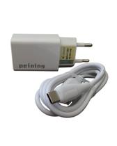 Peining Original com Cabo Incluso Peining Original com Cabo Incluso