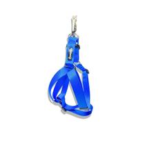 Peitoral Americano para cachorros Azul Royal