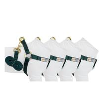 Peitoral Americano Seda Para Cães com Guia Bonito Pra Cachorro ( Cor Verde Escuro) Peitoral Americano Seda Para Cães com Guia Bonito Pra Cachorro ( Cor Verde Escuro)