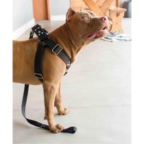 Peitoral Cachorro com Guia e Adaptador serve Pit Bull Labrador Peitoral Cachorro com Guia e Adaptador serve Pit Bull Labrador