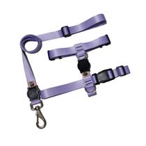 Peitoral coleira H para cachorro com guia resistente para passeio