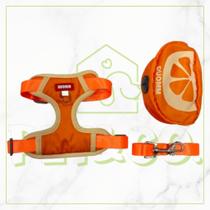 Peitoral e Guia com Mochila Impermeável Coleira para Cachorros M e G