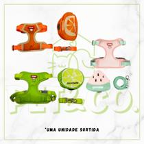 Peitoral e Guia com Mochila Impermeável Coleira para Cachorros M e G