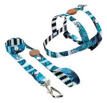 Peitoral e Guia Outdoor Noronha Tamanho M para Cachorros