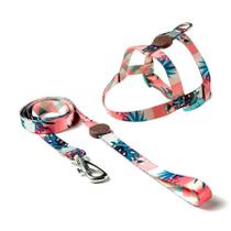 Peitoral e Guia Toh Tradicional Laguna para Cães - Tamanho G