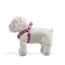 Peitoral Griff Dog para Cães Premium Fêmea - Tamanho 2 Peitoral Griff Dog para Cães Premium Fêmea - Tamanho 2