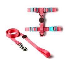 Peitoral H e Guia Toh Fuji para Cães - Tamanho PP