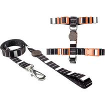 Peitoral H e Guia Toh Outdoor Eclipse PP - Ideal para Cães de Pequeno Porte