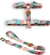 Peitoral H e Guia Toh Outdoor Laguna Tamanho M para Cães