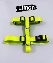 Peitoral h + guia (limon) - tamanho m