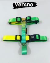 Peitoral h + guia (verano)