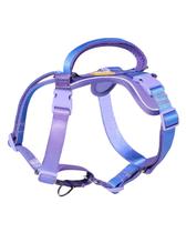 Peitoral para Cães DF Freedom No Pull Martingale Refletivo Peitoral para Cães DF Freedom No Pull Martingale Refletivo