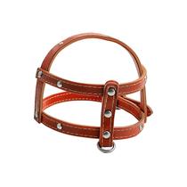 Peitoral Para Cães Forrado Nº 2 - Sandro Heleno Peitoral Para Cães Forrado Nº 2 - Sandro Heleno