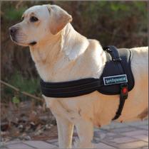 Peitoral para Cão Grande e Médio Porte Resistente Trava de Segurança Regulagem Passeio LR-0188