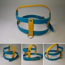 Peitoral Pet Americano Azul e Amarelo