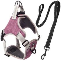 Peitoral Pet Antipuxão Comfort + Guia Longa 150cm Madog