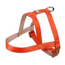 Peitoral Tradicional Toh Com Guia Basic - Laranja/Caqui