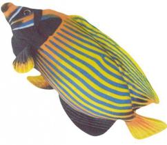 Peixe Real de Pelúcia Colorido 38 cm Antialérgico