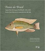 Peixes do Brasil/Brazilian Fishes: Aquarelas de Jacques Burkhardt 1865-1866:Watercolors by Jacques Burkhardt 1865-1866 - EDUSP Peixes do Brasil/Brazilian Fishes: Aquarelas de Jacques Burkhardt 1865-1866:Watercolors by Jacques Burkhardt 1865-1866 - EDUSP