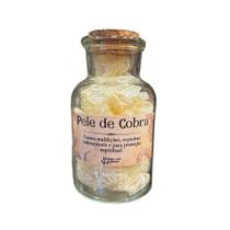 Pele de Cobra Ritualística para Feitiçaria e Bruxaria Pele de Cobra Ritualística para Feitiçaria e Bruxaria