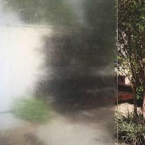 Pelicula Adesiva Eletrostatica 3D para Box de Vidro Riscos e Folhas 190x120cm