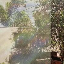 Pelicula Adesiva para Porta de Vidro Residencial Modelo Camaleao Pontilhado 210x200cm