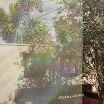 Pelicula Adesiva Vidro Residencial Camaleão Micro Pontilhado Pelicula Adesiva Vidro Residencial Camaleão Micro Pontilhado