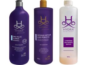 Pelos Claros 1 L + Máscara Liso Perfeito 480ml + 1 Frasco