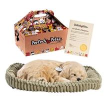 Pelucia afetiva cachorro golden retriver perfect petezzz - imex