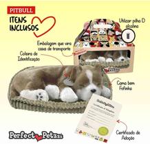 Pelucia afetiva cachorro pit bull perfect petezzz - imex Pelucia afetiva cachorro pit bull perfect petezzz - imex