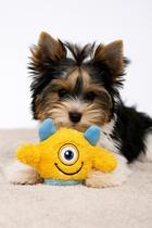 Pelúcia Bolinha QMonster Baby Ciclope Amarelo TAM P Pelúcia Bolinha QMonster Baby Ciclope Amarelo TAM P