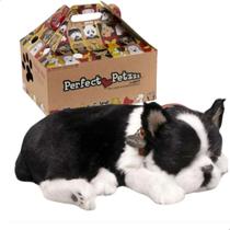 Pelúcia Cachorro Buldog Francês Que Respira - Imex