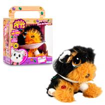 Pelúcia Cachorro Coockie Adota Pets Super Macio Procure Carrapatos Multikids