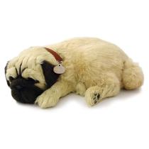 Pelúcia Cachorro Pug Que Respira - Imex
