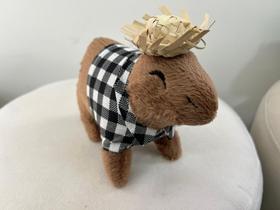 Pelucia Capivara Adorável Amei Fofa Filó Bailarina Capuz Xadrez Diversas Cores Pelucia Capivara Adorável Amei Fofa Filó Bailarina Capuz Xadrez Diversas Cores