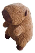 Pelúcia Capivara Fofo Fofinho Bichinho Ursinho Presente Fofa