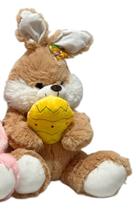 Pelúcia Coelho com Cenoura/Ovo de Páscoa FD5103 - Fizzy