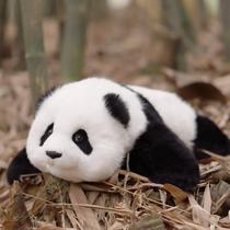 Pelúcia de pelúcia Chongker Weighted Panda 18" 1,8 kg Pelúcia de pelúcia Chongker Weighted Panda 18" 1,8 kg