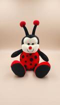 Pelúcia Joaninha Divertida 38cm - Plush Macio Pelúcia Joaninha Divertida 38cm - Plush Macio