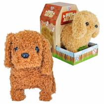 Pelúcia Pet Auau Cachorrinho Sortido Com Luz e Movimento