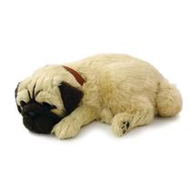 Pelúcia que Respira Perfect Petzzz Original - Pug Pelúcia que Respira Perfect Petzzz Original - Pug