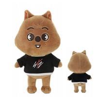 Pelucia Skzoo Stray Kids Modelos De Mascote Kpop Animal 25cm