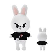 Pelucia Skzoo Stray Kids Modelos De Mascote Kpop Animal 25cm