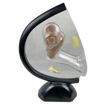 Pélvis feminina de acrílico anatômica Pélvis feminina de acrílico anatômica