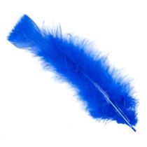 Pena 15 cm cor azul royal cartela c/10 unidades Pena 15 cm cor azul royal cartela c/10 unidades