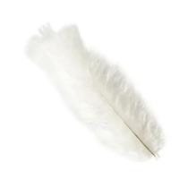 Pena 15 cm cor branco cartela c/10 unidades