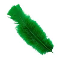 Pena 15 cm cor verde bandeira cartela c/10 unidades Pena 15 cm cor verde bandeira cartela c/10 unidades