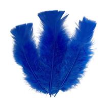 Pena cor azul royal pct c/6 gramas