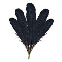 Pena de Passaro Agbe Africano Para Ritual Candomble Espiritual 1un Pena de Passaro Agbe Africano Para Ritual Candomble Espiritual 1un