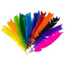 Penas Coloridas De Pato 25 Unidades Fantasias Carnaval Arte - Plumas e Penas